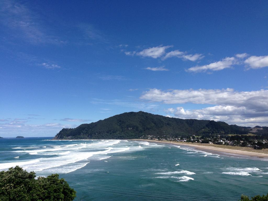 Paku Palms Bed & Breakfast Tairua Ruang foto